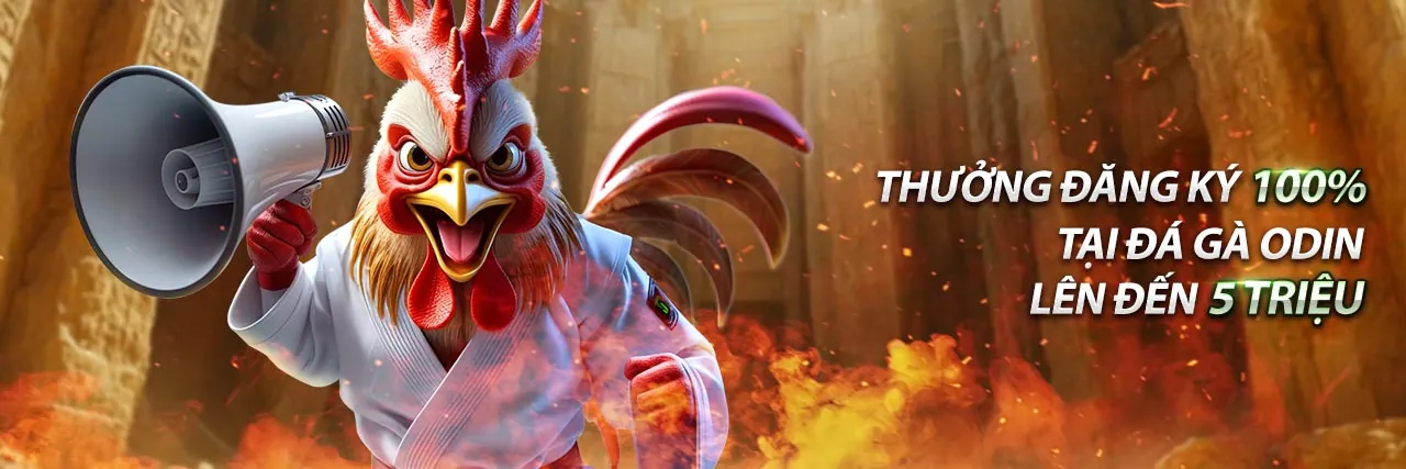 Sân đấu gà kịch tính tại Vando88